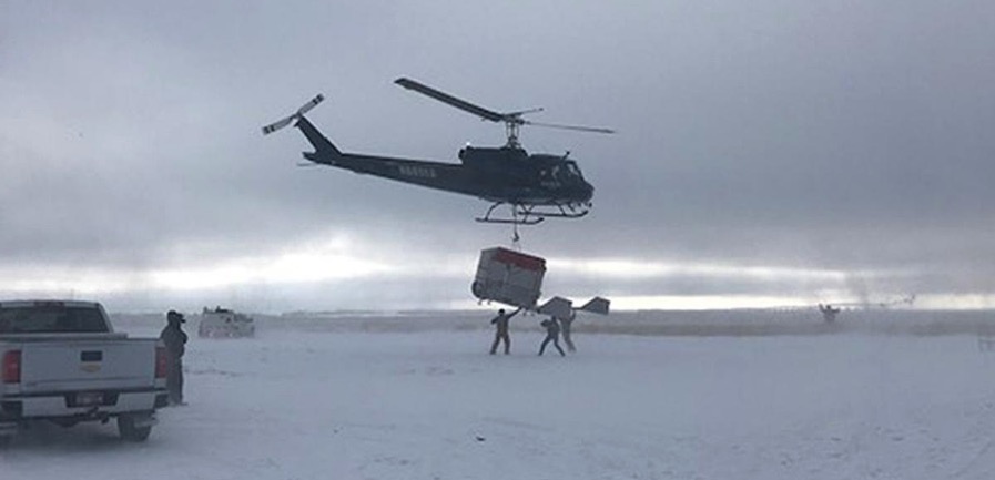 helicopter reseed Idaho