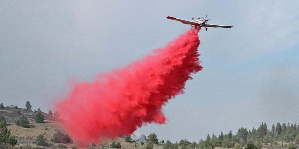 A SEAT (we don't know which one) dropping on the Falls Fire on the Malheur NF ~ IMT photo