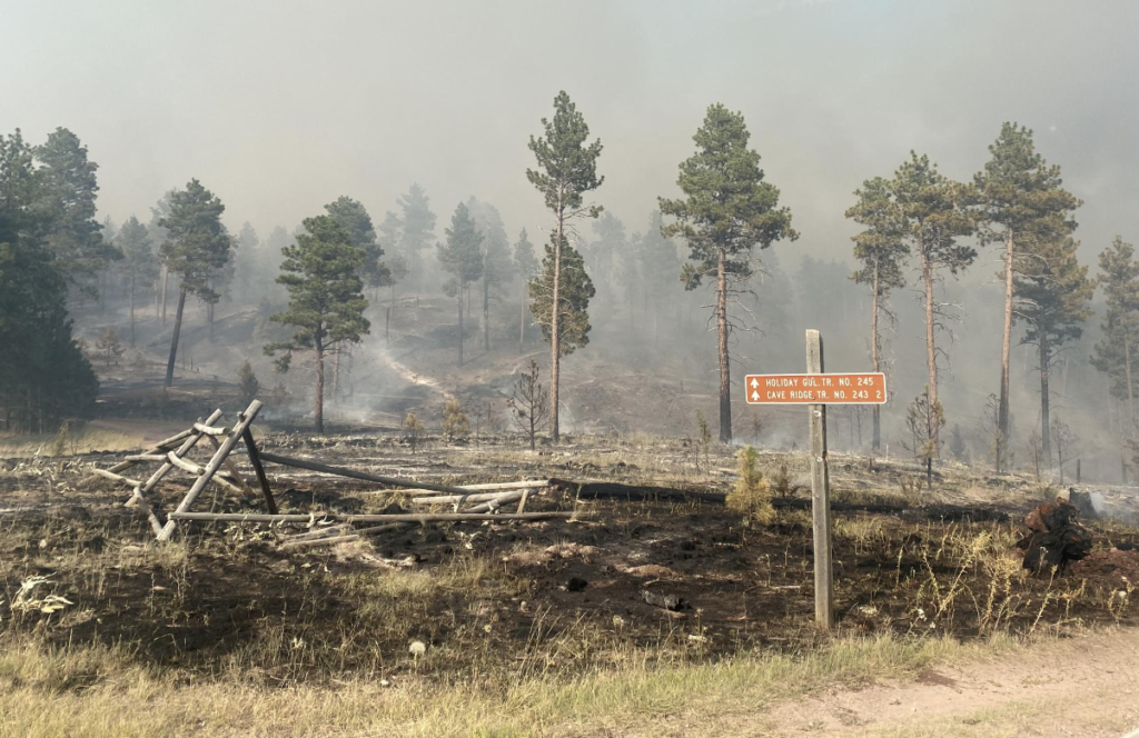 Horse Gulch Fire July 9